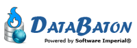 DataBaton Logo